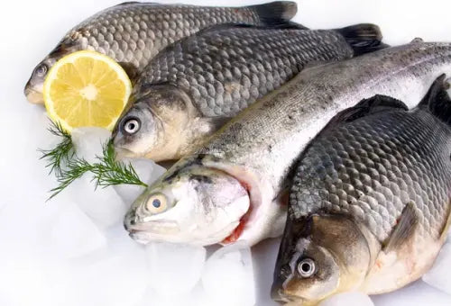 TEST Poissons